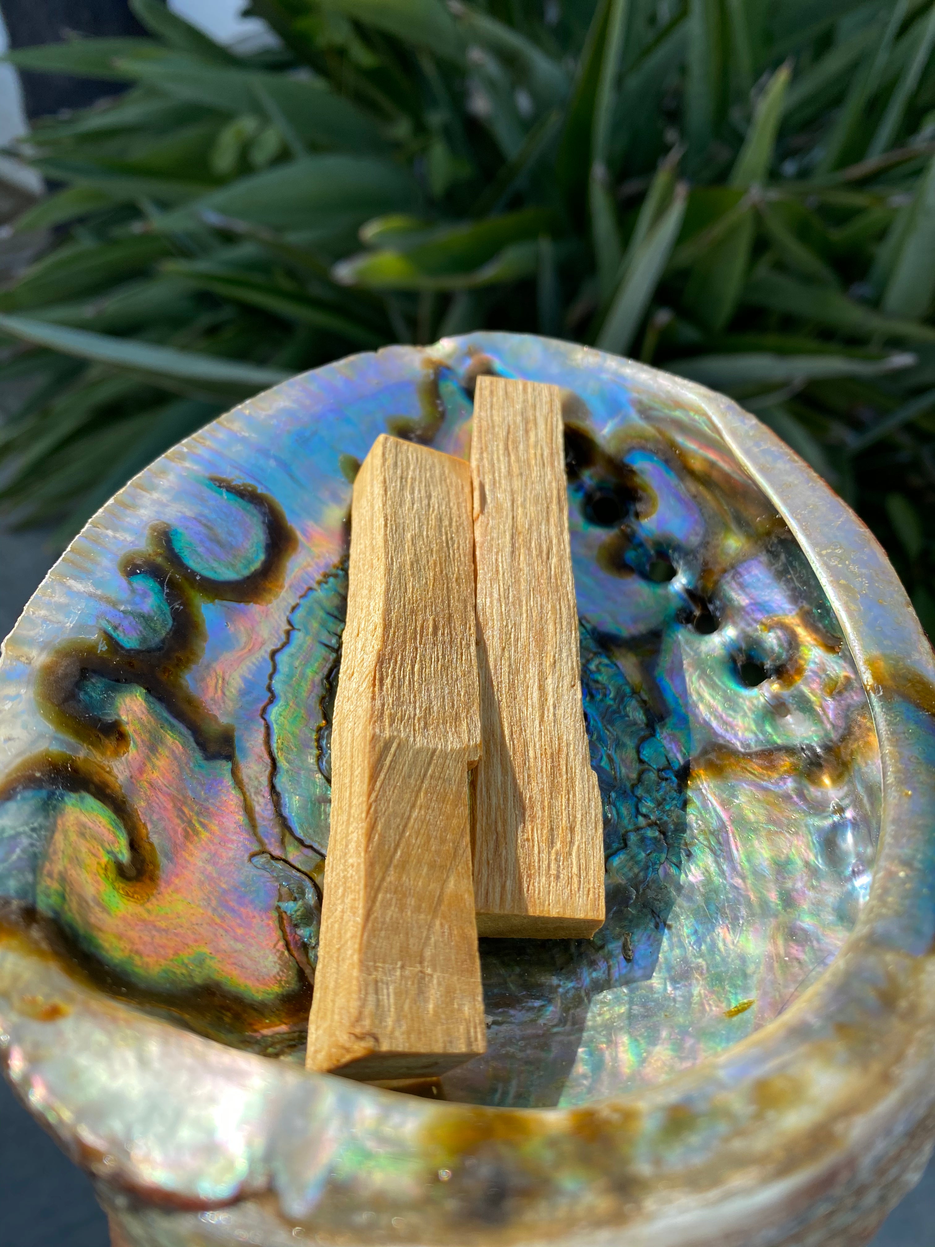 Palo Santo Smudge Sticks